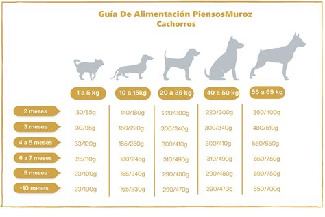 Guía De Alimentación para Cachorros LosMejoresPerros