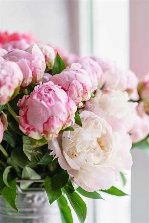 Lovely Flowers In Glass Vase Beautiful Bouquet Of Pink Peonies