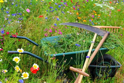 Index aller inhalte von a bis z. Mit der Sense den Garten richtig mähen | selbermachen.de