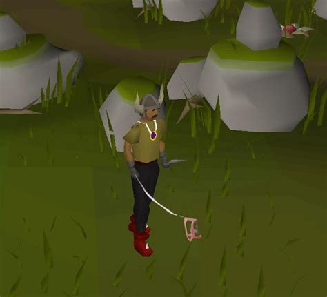 Pet Suggestion Invisible Dog R2007scape