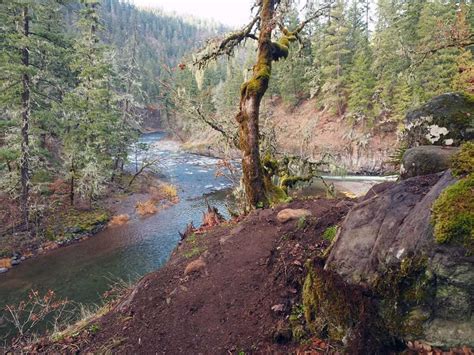 Hike Of The Month Punchbowl Falls Hood River Trailkeepers Of Oregon
