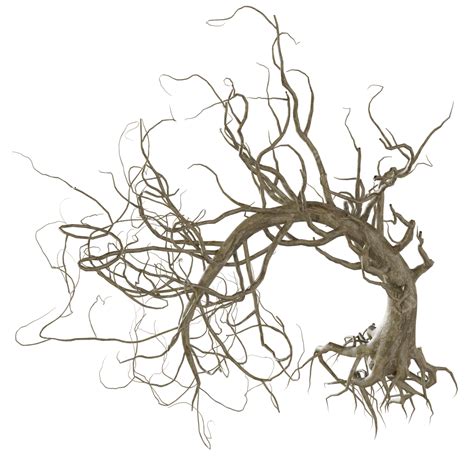 Dead Tree Clipart Png Images Dead Tree Clipart Tree Drawing Tree