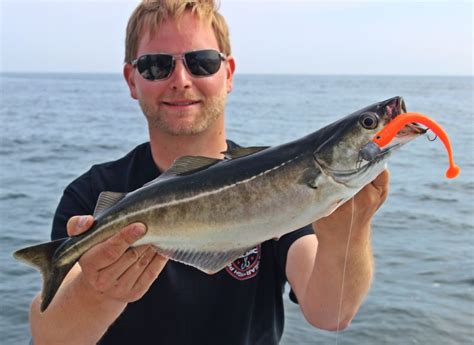 For nearly 70 years, dorsch has been a reputable consulting and engineering partner for clients in industry, private investors and public institutions. Dorschangeln mit dem Kleinboot vor Fehmarn | Dicht am Fisch