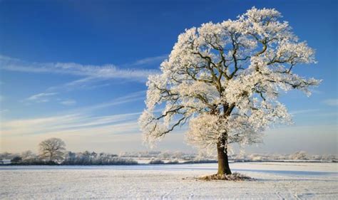 The winter solstice 2020 can be compared to the dark night of the soul that holds an ancient seed of infinite renewal. Winter Solstice meaning: What is the spiritual meaning of ...