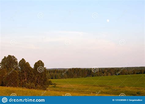 Beautiful Summer Landscape With Field And Flowers Green Landscape Lit