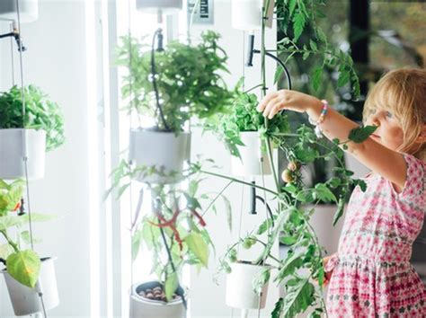 There are hundreds of hydroponics techniques system. Hydroponic Designs | Advantages of Hydroponic Systems ...