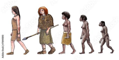 Human Evolution Female Kaufen Sie Diese Illustration Und Finden Sie ähnliche Illustrationen