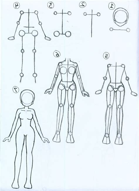 How To Draw A Human Body Step By Step Images And Photos Finder