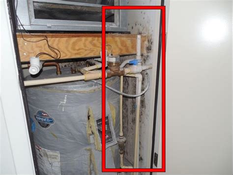 Most home inspectors will do a general inspection of the liner. water heater - Mold in utility closet - how bad does it ...