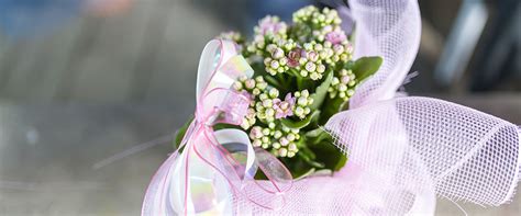 A humanist naming ceremony is the perfect way to welcome a new child into your family. Humanist Naming Ceremony at The Crown Hotel Bawtry