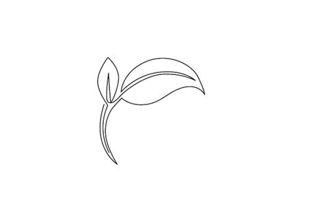 Premium Vector Green Leaf Continuous One Line Drawing Of Leaf Tree