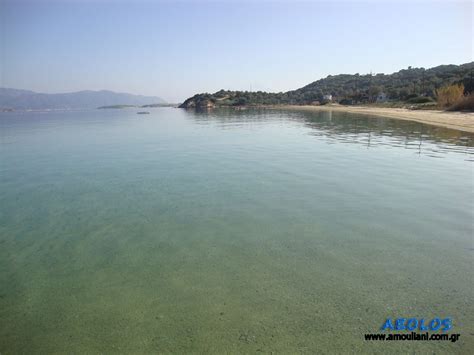 Maybe you would like to learn more about one of these? ΑΜΜΟΥΛΙΑΝΗ ΧΑΛΚΙΔΙΚΗ ΦΩΤΟΓΡΑΦΙΕΣ STUDIOS APARTMENTS