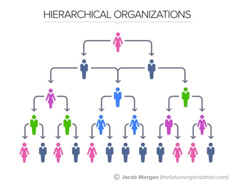 The 5 Types Of Organizational Structures Part 1 The Hierarchy