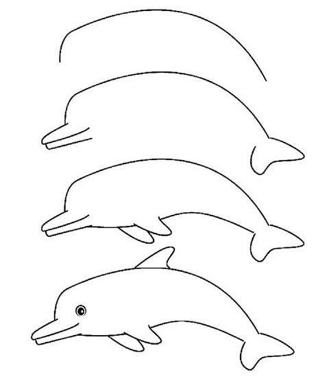How To Draw A Quick And Easy Dolphin Step By Step Drawing Photos