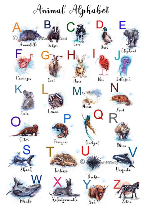 An Animal Alphabet Poster With Animals And Letters