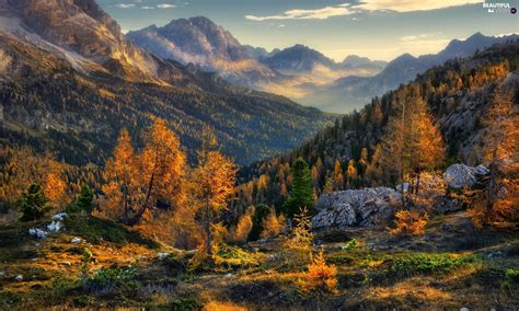 Autumn Alps Stones Dolomites Italy Mountains Spruces Beautiful