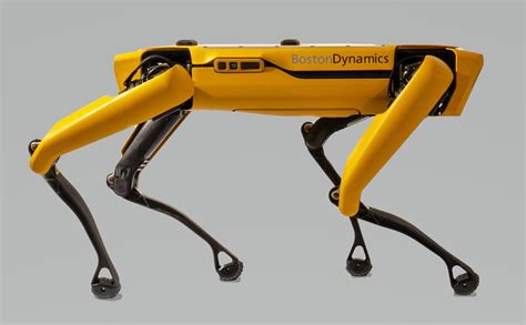Boston Dynamics Spot robot reminds people in Singapore to social