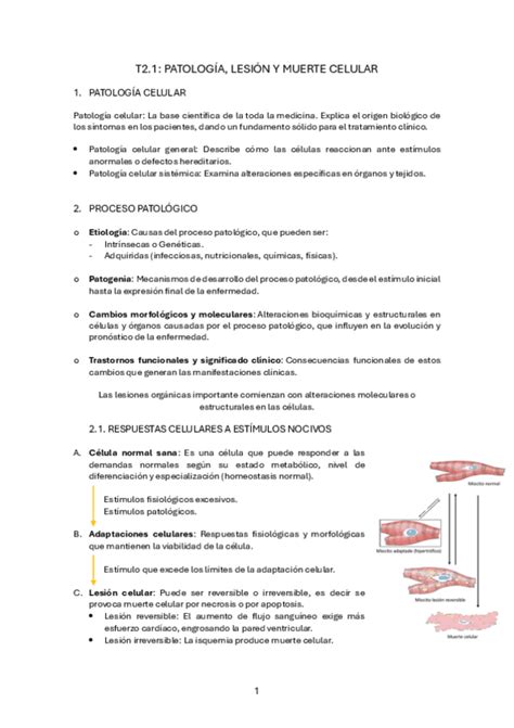 T2 FISIOPATO Pdf