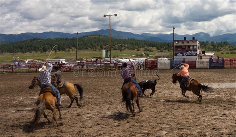 Ranchers Competing At A Rodeo In Colorado Editorial Photography Image