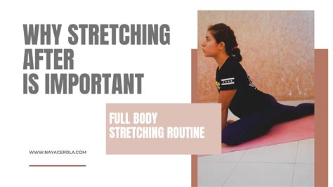 Why Stretching Is Important Full Body Stretching Routine