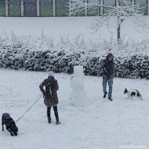 In der hauptstadt wird es bei temperaturen von maximal 11°c die ganze zeit regnen und stürmen. Es schneit und schneit...