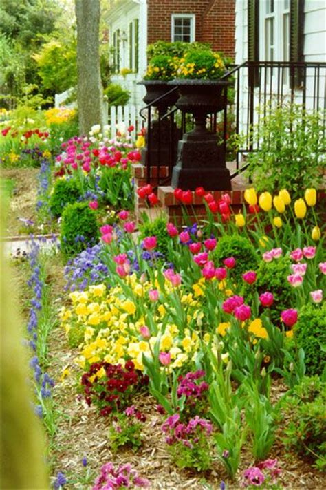 20 Beauty Spring Flower Pictures Creative Home And Garden