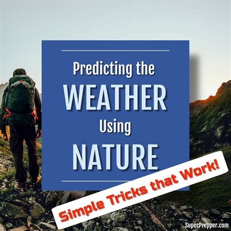 Predicting The Weather Using Nature Simple Tricks That Work Super