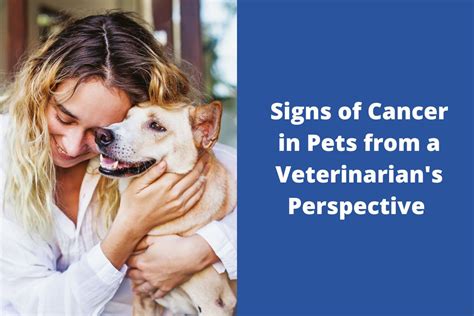 Signs Of Cancer In Pets From A Veterinarians Perspective Blog