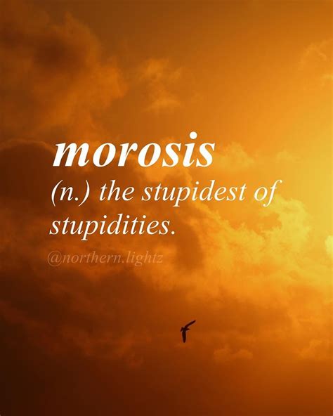 Morosis N The Stupidest Of Stupidities Fancy Words Weird Words