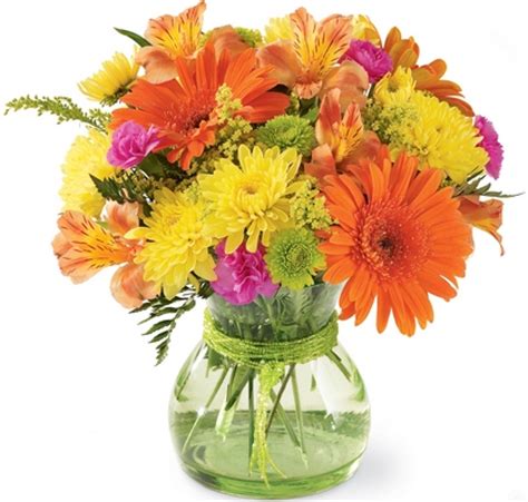 We would like to show you a description here but the site won't allow us. Lloyd's Florist :: Flower Shop Louisville, KY :: Flower ...