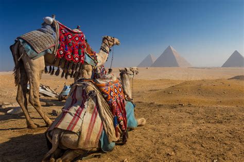 Giza Pyramids Camel Ride Tour | Kemet Experience