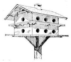 We have included a few bird house plans over the past few years. Pin on Woodworking, Ideas, tips, and projects