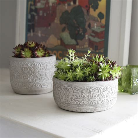 Cement Floral Embossed Pots By Red Lilly