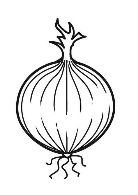 Coloring Pages | Printable Onion Coloring page