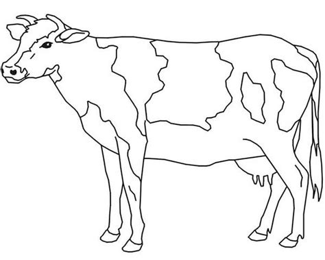 35+ cow coloring pages for printing and coloring. Free Cow Coloring Pages Printable