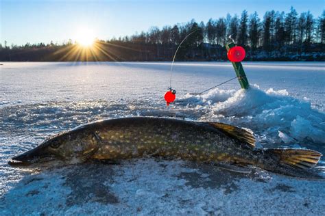 Best Places To Go Ice Fishing in Michigan - Travel With Pedro