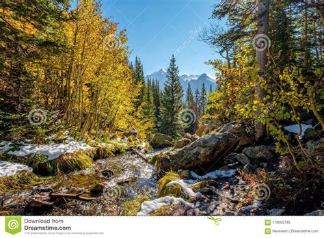 Season Changing First Snow And Autumn Trees Stock Image Image Of