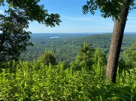 Best Horseback Riding Trails In Albemarle Alltrails