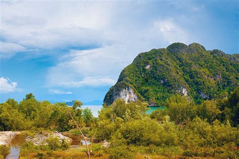 The trees next to the beach provide welcome. The Secrets Of Koh Lanta | Travel Associates