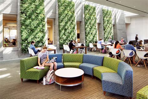 Living Green Walls In Schools Increase Student Performance And Well