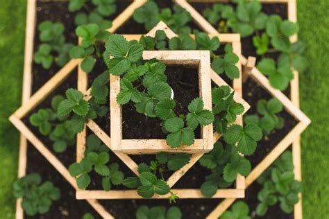 Materials needed to build raised garden beds: How To Build A Strawberry Planter | Strawberry planters ...