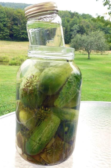 And they're the ones commonly. brined garlic dill pickles: recipe looks like my gramma's ...