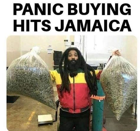 750 x 500 jpeg 66 кб. Panic buying | Best funny pictures, Funny memes, Funny