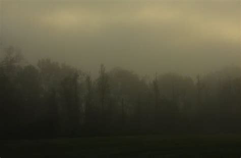 Foggy Morning Today Is Very Foggy Here In Mississippi Exp Flickr