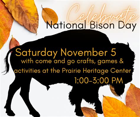 National Bison Day Prairie Heritage Center Obrien County Conservation