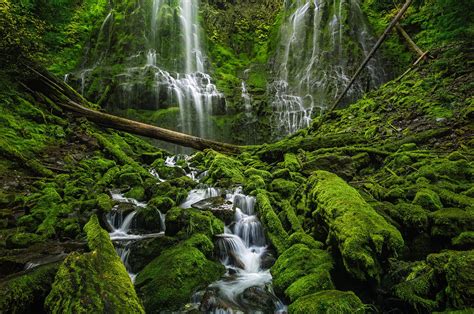 Photography Guide For Proxy Falls Oregon Photographers Trail Notes