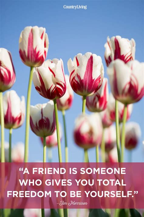 They are made, crafted, shaped, molded, created by focused effort and intent. 12 Cute Best Friend Quotes - Short Quotes About True Friends