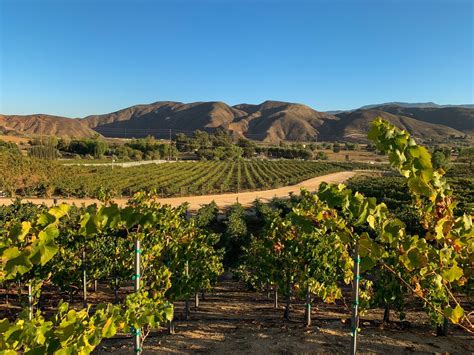 Top California Wine Regions To Visit Celebrity Cruises