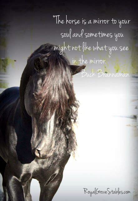 Inspirational Horse Quotes Inspirational Horse Quotes Horse Quotes