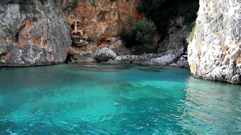 Cilento, un branco di lupi immortalato sulle montagne di cannalonga. Cilento, vasta operazione di bonifica dei fondali marini ...